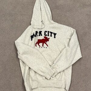 Blue 84 Light Gray Park City Graphic Hoodie